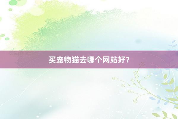 买宠物猫去哪个网站好？