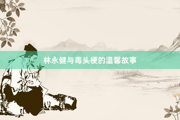 林永健与毒头梗的温馨故事